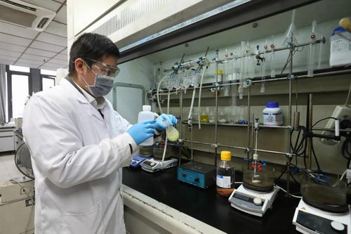 003.webp.jpg 003.webp.jpg