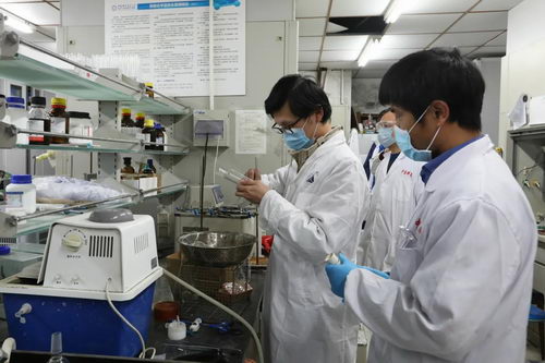 004.webp.jpg 004.webp.jpg