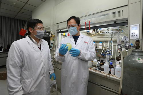 005.webp.jpg 005.webp.jpg