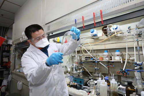 006.webp.jpg 006.webp.jpg