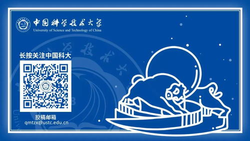 010.webp.jpg 010.webp.jpg