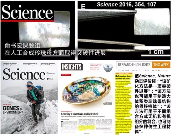 640.webp (3).jpg 640.webp (3).jpg