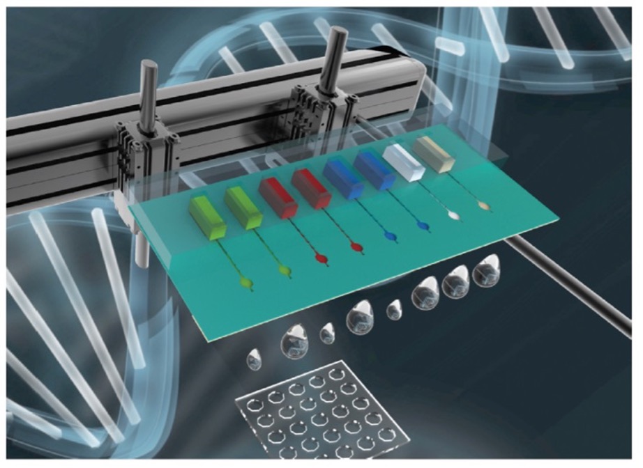 科研进展3.jpg 科研进展3.jpg